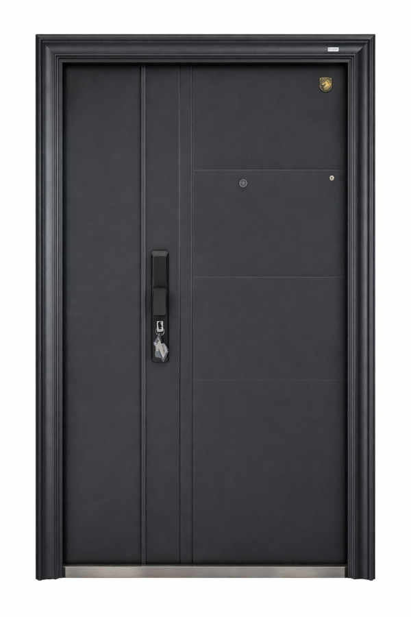 Steel Exterior Door